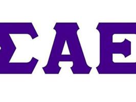 Mardi Gras Party illustration