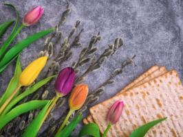 Passover Petals  illustration