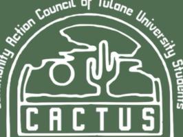CACTUS Council Meeting illustration