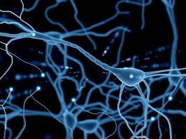 Neuroscience Fall Social Event illustration