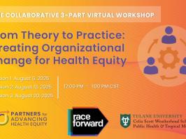 Virtual 3-Part Workshop: From Theory to Practice:  Creating Organizational Change for Health Equity illustration