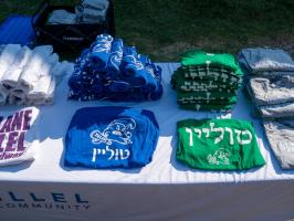 Tulane Hillel Tabling illustration